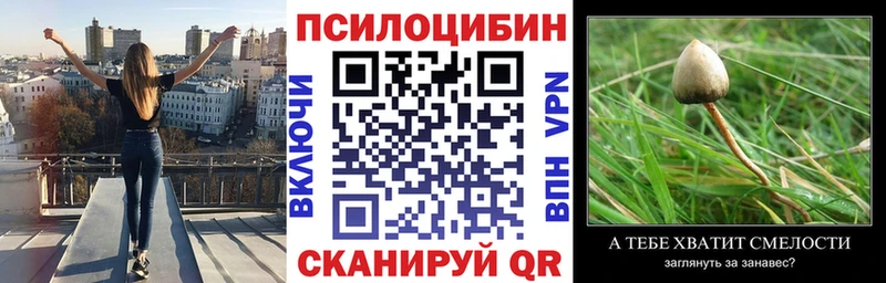 Псилоцибиновые грибы ЛСД Нижняя Салда