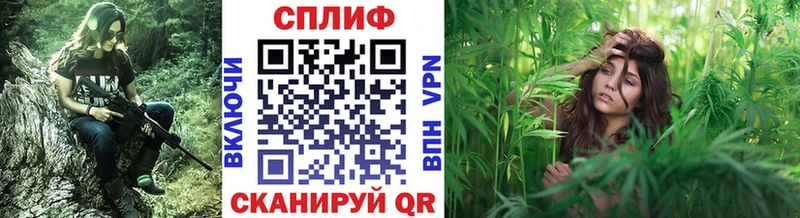 Купить закладки  Нижняя Салда  Марихуана план 